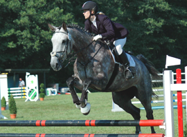 Ruby mit Christine über einem Sprung auf einem Springturnier. Anne Pobell Ganzheitliches Pferdetraining Kundenecho