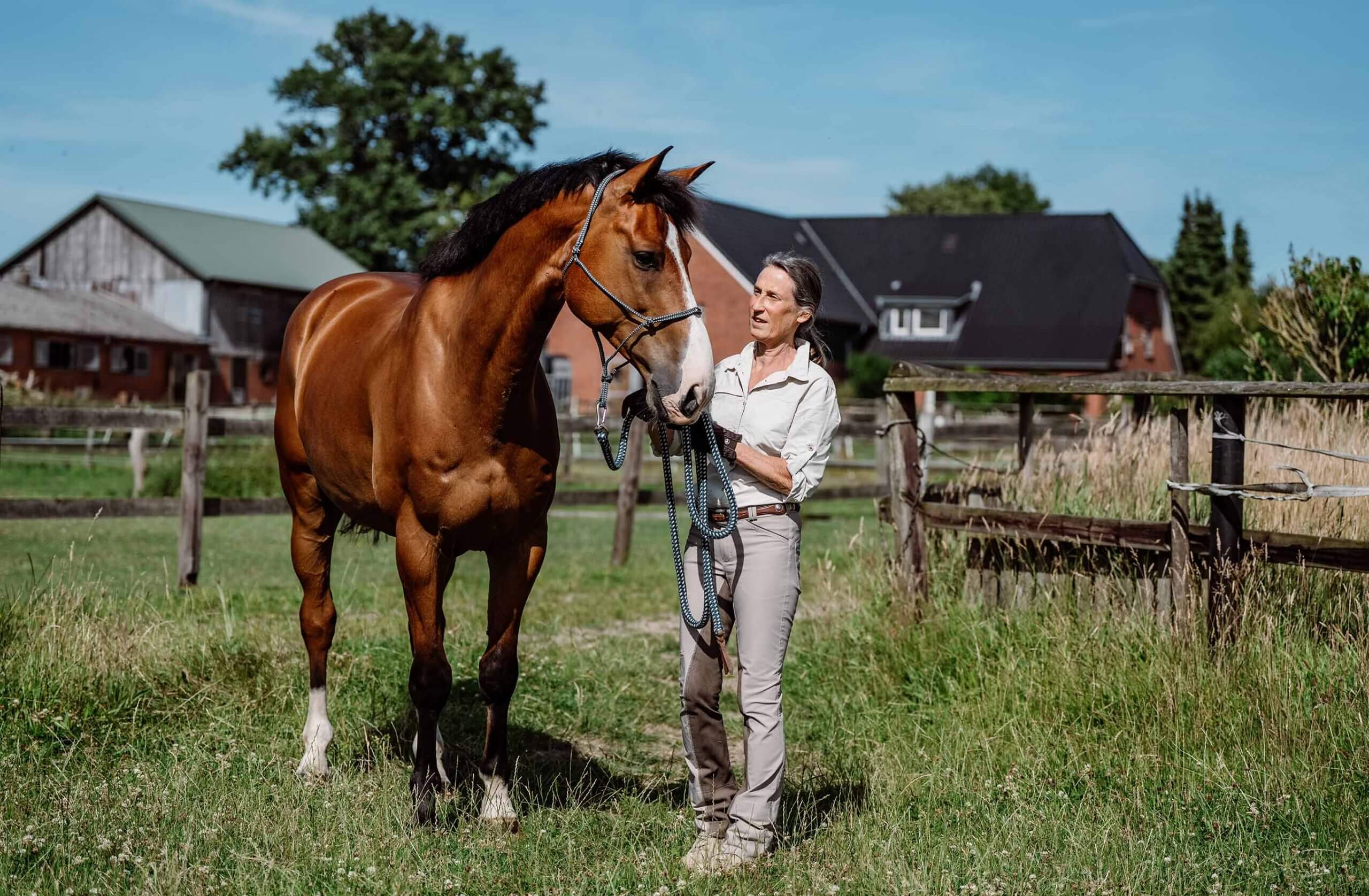 Beziehungsaufbau durch Führtraining mit Lucky vor dem Verladen. Anne Pobell, Ganzheitliches Pferdetraining, Verladetraining