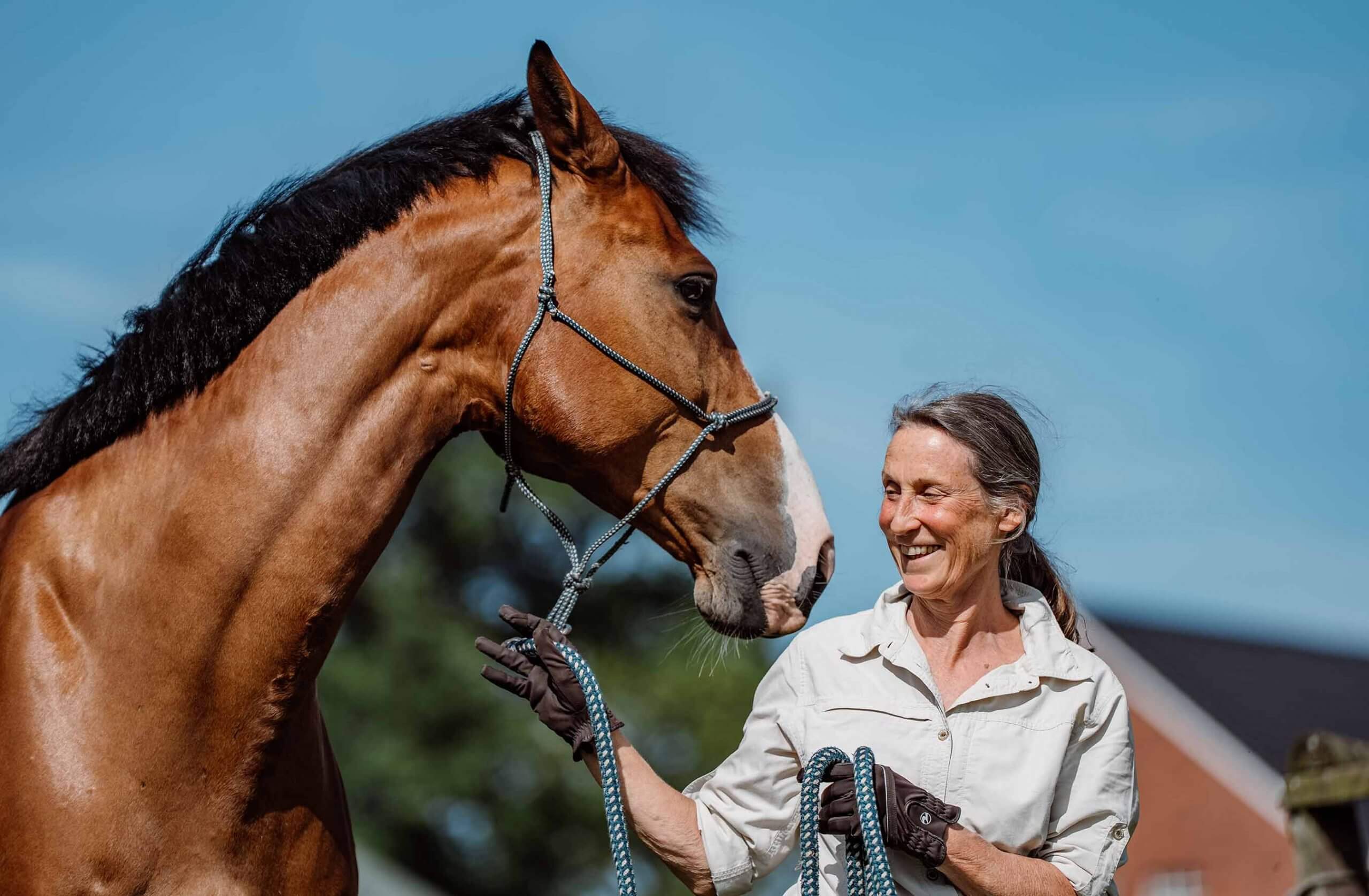 Aufbau einer harmonischen Beziehung mit Lucky in einer entspannten Lernumgebung ohne Zwang. Anne Pobell, Ganzheitliches Pferdetraining, Über Mich