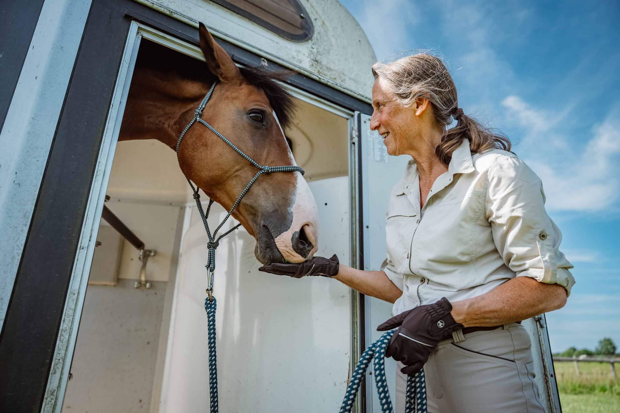 Professionelles Verladetraining mit Lucky. Anne Pobell füttert ihn vorne an der Tür. Ganzheitliches Pferdetraining, Verladetraining