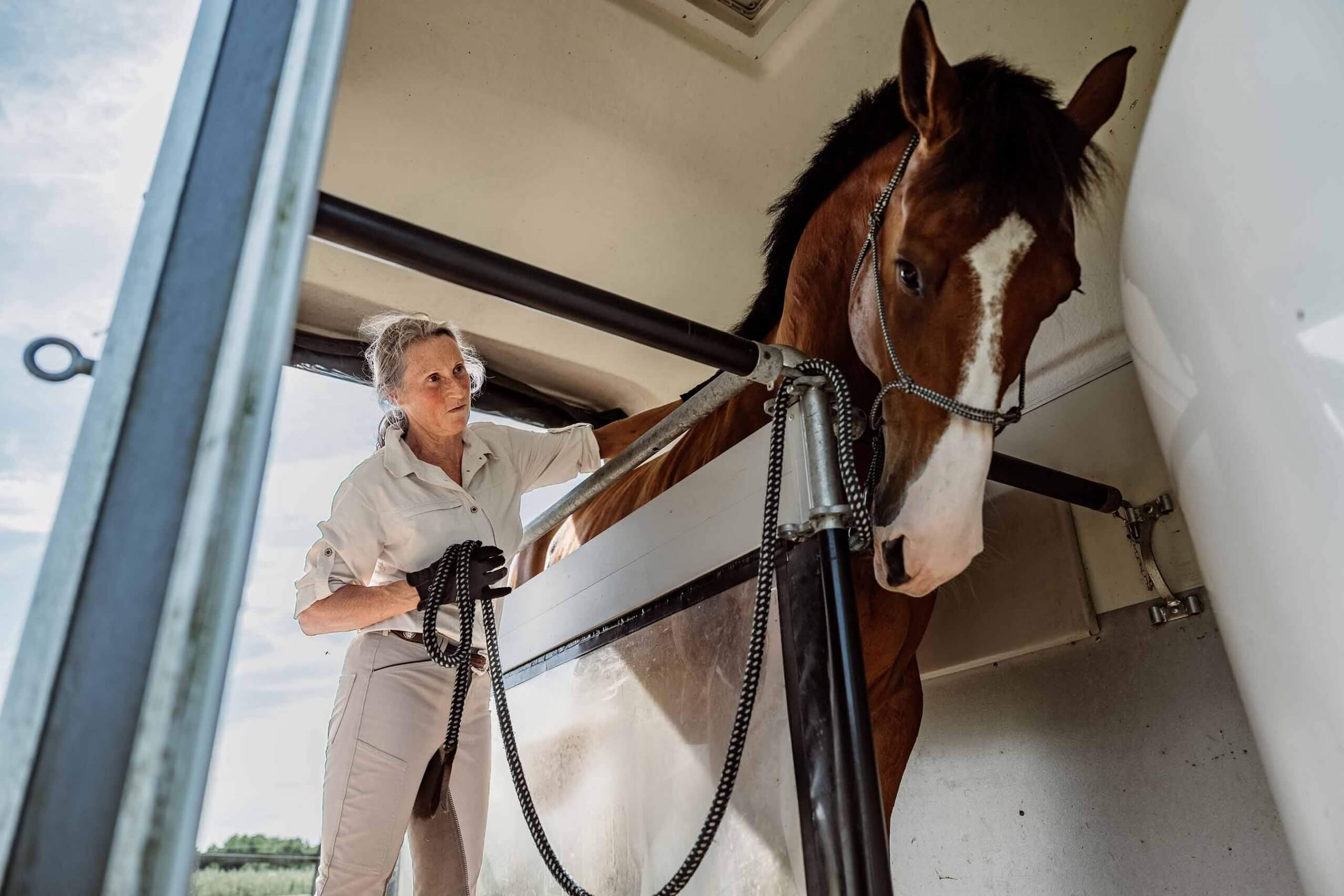 Vertrauensvolles Verladetraining mit Lucky. Anne Pobell streichelt ihn zur Entspannung im Hänger. Ganzheitliches Pferdetraining, Verladetraining