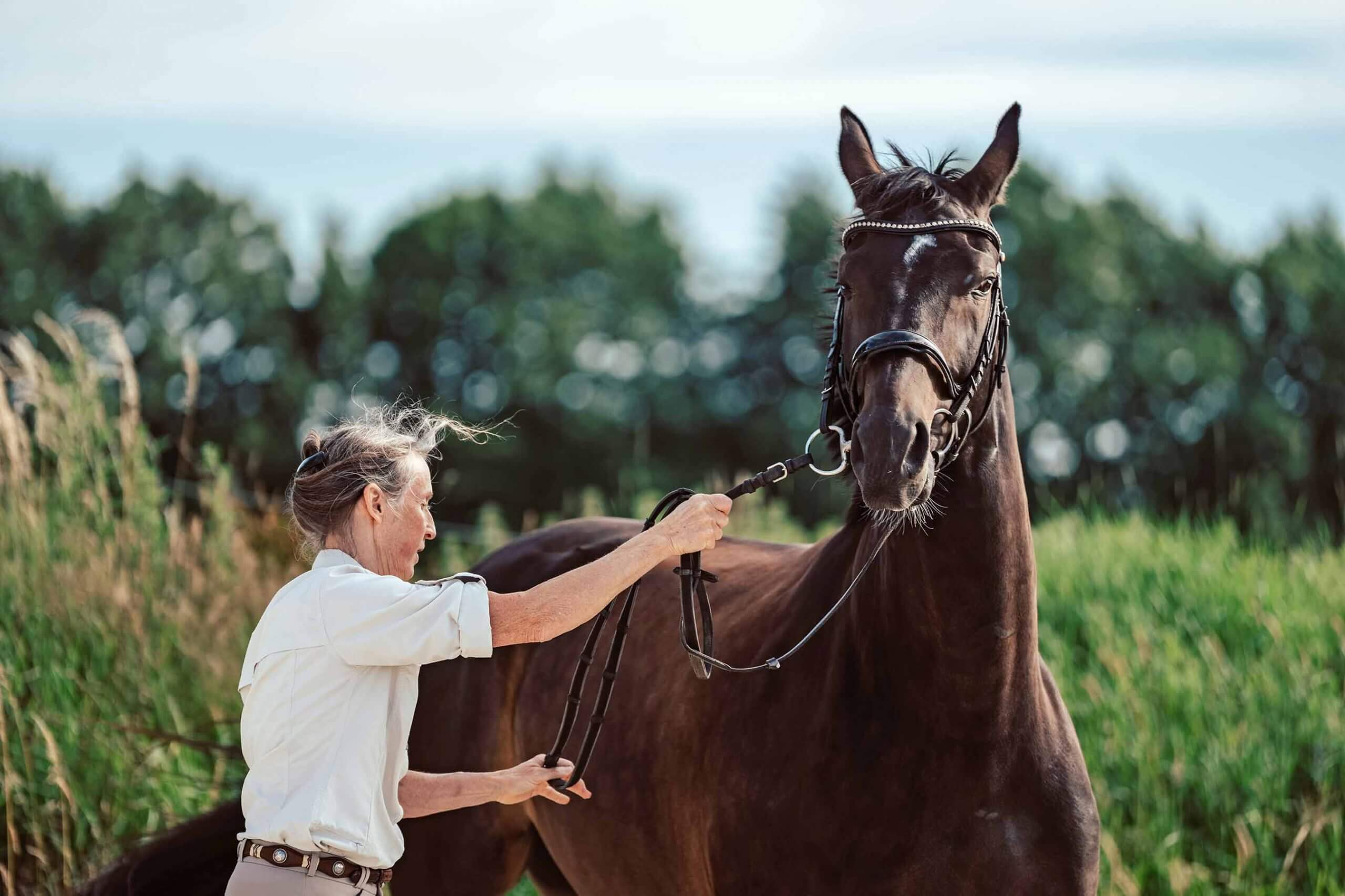 Anne Pobell bei der Gymnastizierung an der Hand mit Freddy nach der Schule der Légèreté, Philippe Karl. Ganzheitliches Pferdetraining, Über Mich
