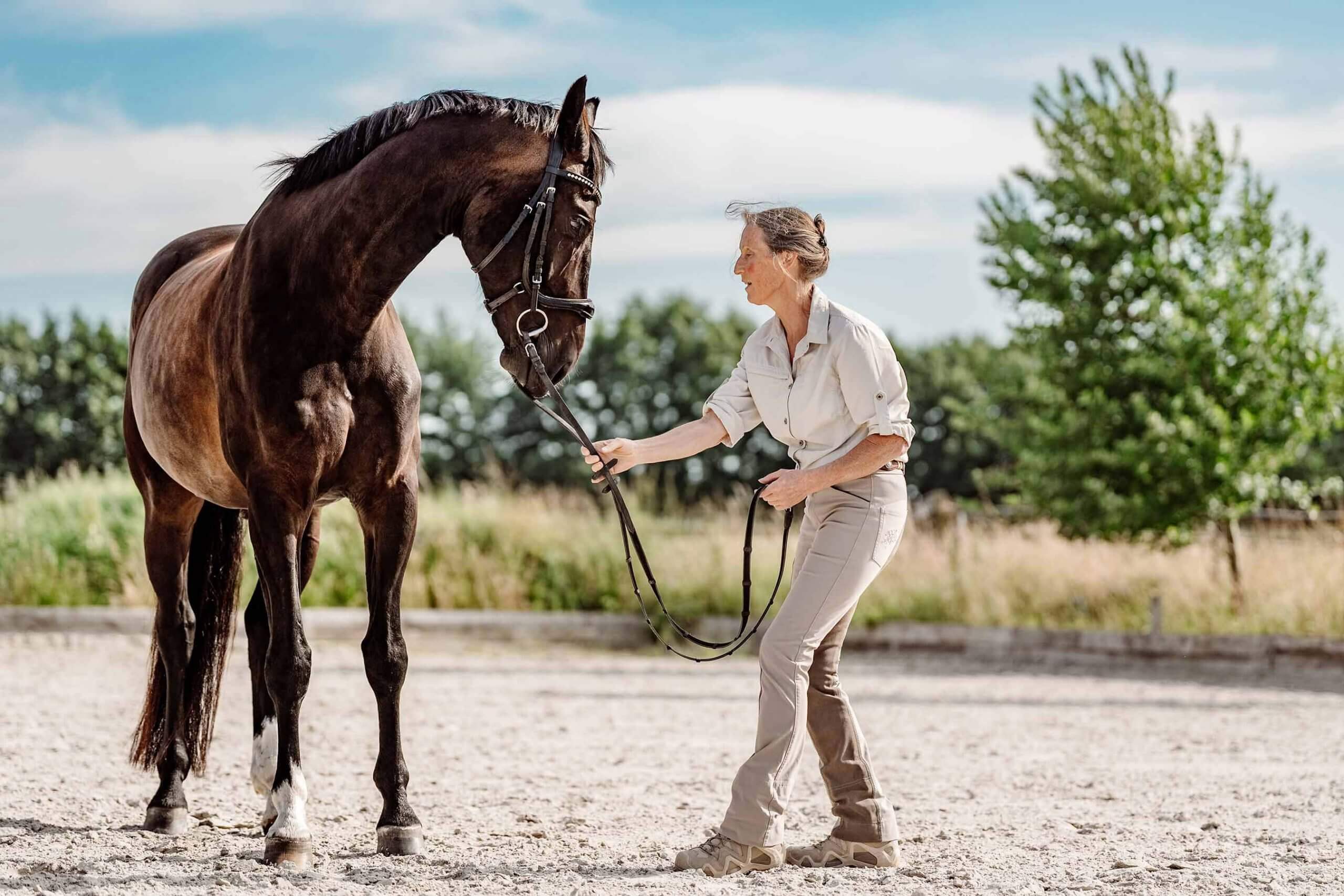 Anne Pobell bei der Gymnastizierung. Sie übt Kopf senken mit Freddy während der Arbeit an der Hand mit Trense. Ganzheitliches Pferdetraining, Willkommen