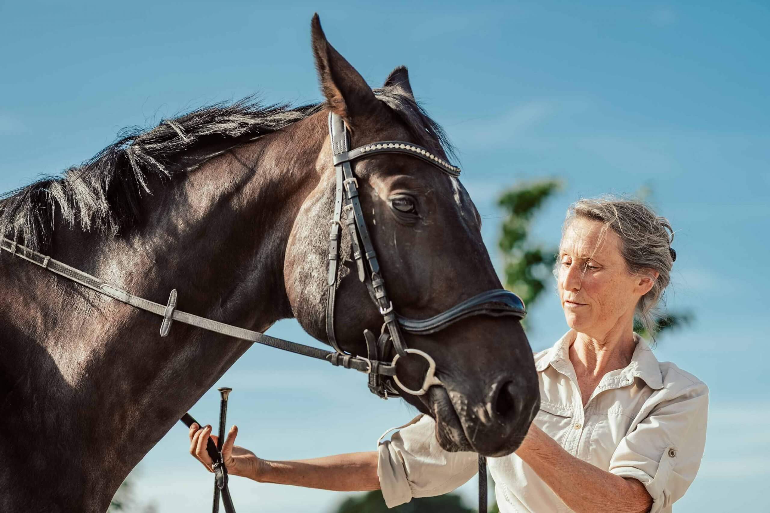 Anne Pobell bei der Gymnastizierung an der Hand mit Freddy, in einer vertrauensvollen, Pferde gerechten Kommunikation. Ganzheitliches Pferdetraining, Philosophie