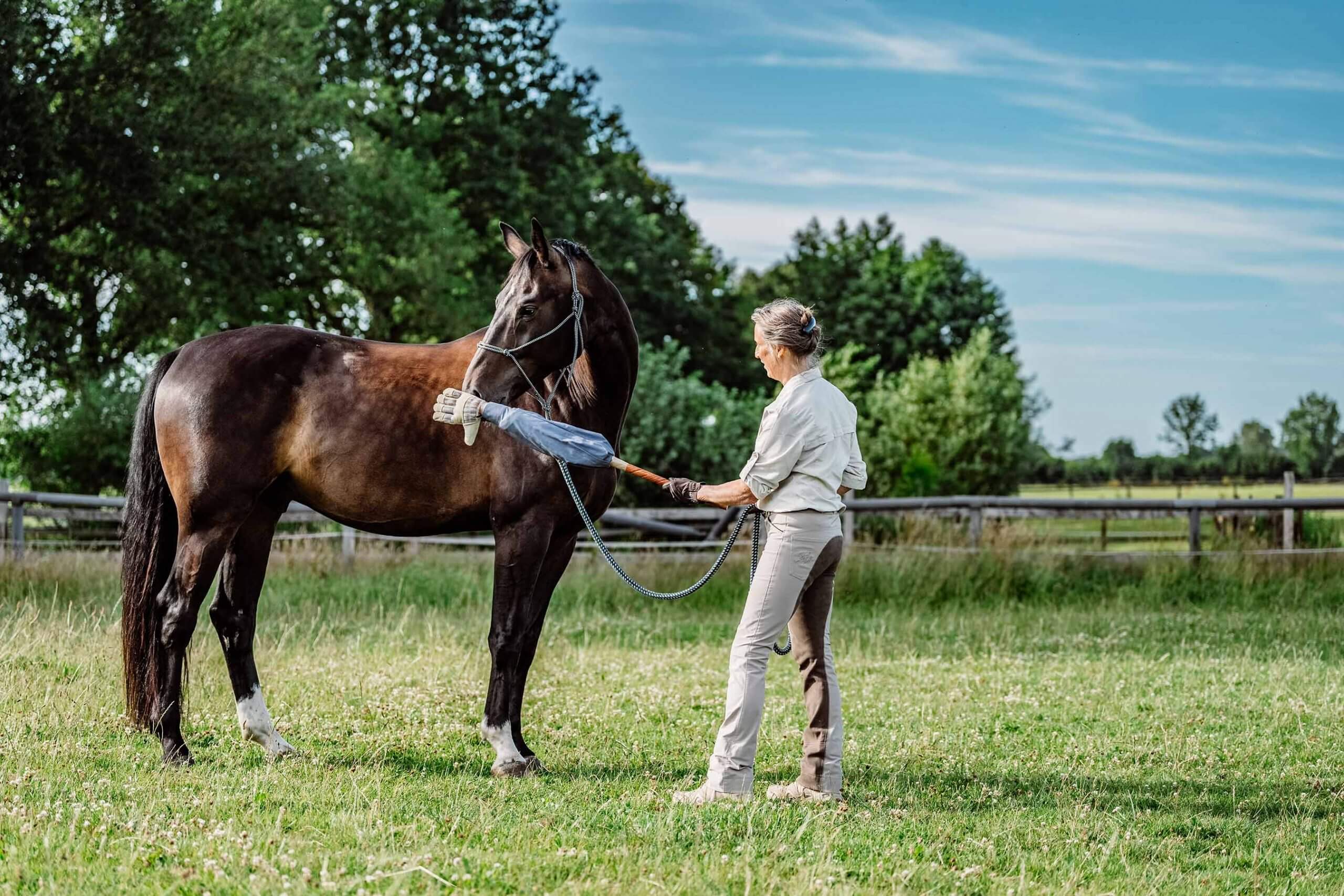 Anne Pobell bei der Bodenarbeit im Gelassenheitstraining. Sie berührt Freddy mit einer künstlichen Hand zur Desensibilisierung. Ganzheitliches Pferdetraining, Bodenarbeit