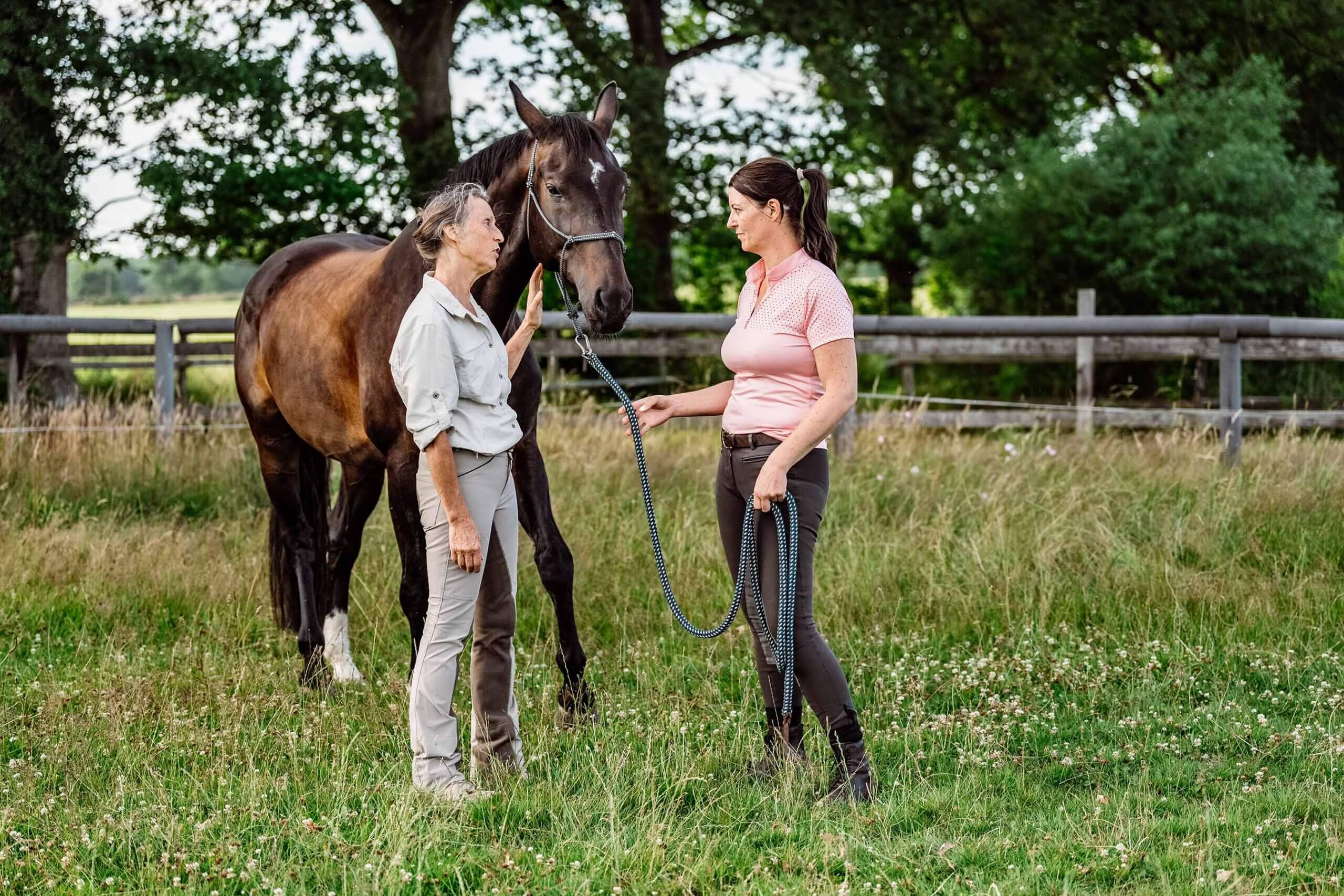 Anne Pobell bespricht die weitere Gymnastizierung von Freddy mit einer Kundin. Ganzheitliches Pferdetraining, Pferdetraining
